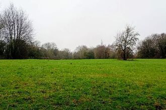 Grass field with trees
