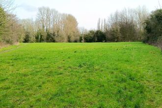 Grass field with trees