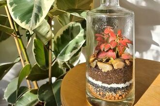 Small plant in glass terrarium next to larger house plant