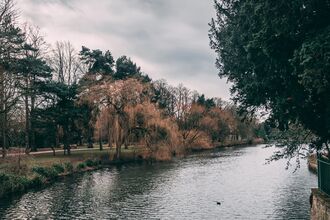 Lake and trees at University of Nottingham