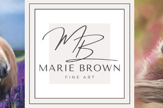 Picture of a horse in fields of flowers on left, Marie Brown Fine Art in the middle, picture of hedgehog in undergrowth on the right