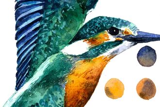 Painting of king fisher with background of coloured spots sampled from the bird