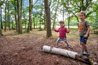 Children in woodland