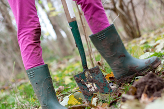 Gardening 