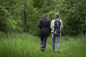 Two people walking away from the camera through a woodland. 