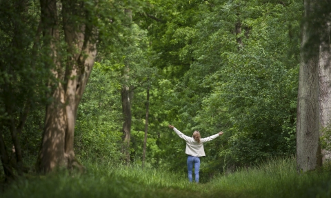 Woman walking in a woodland