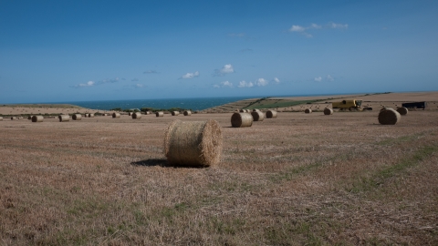 Arable field