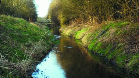 Bridge over stream Daneshill cpt Notts WT