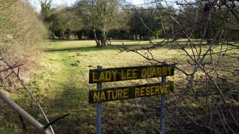 Lady Lee Quarry | Nottinghamshire Wildlife Trust