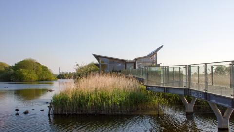Attenborough Centre NottsWT cpt Robert Mackin