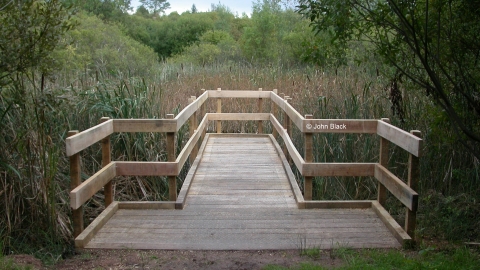 Wilford Claypit Dipping platform NottsWT cpt John Black