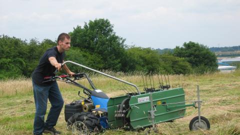 Haymaking at Beacon Hill NottsWT