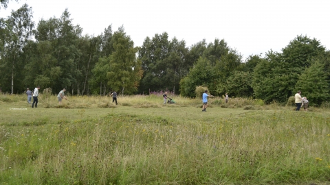King's Meadow NottsWT cpt Rebecca Dicks