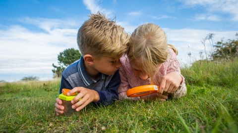 Kids bug hunting cpt Matthew Roberts - Use for 30 days wild only
