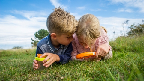 Family_membership_Children_in_meadow_Wildnet_cpt_MathewRoberts