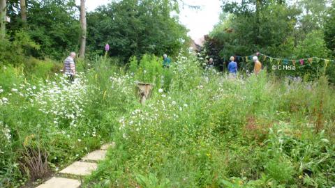 Faith Marriott Open Day 15.7.12 Notts WT cpt C Melia