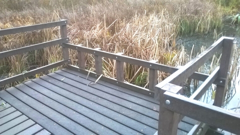 Moorbridge new Boadwalk Photo 2 - inc Dipping Platform