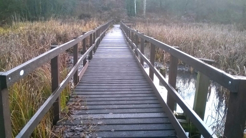 Moorbridge Pond new Boardwalk Photo