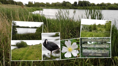 North Muskham Lake NottsWT cpt Tony Summers