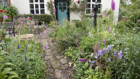 Wildlife garden © Tom Marshall