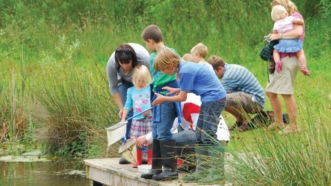 Pond dipping Idle Valley
