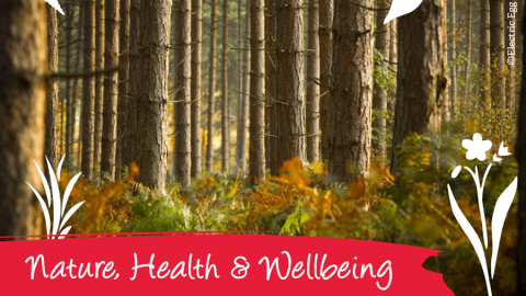 Nature, Health & Wellbeing breakfast event October 2018