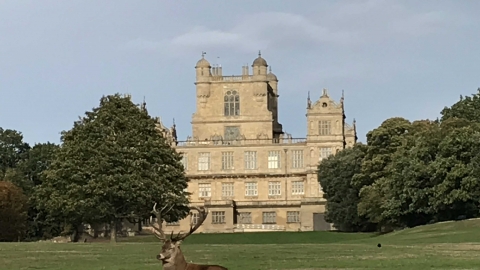 Wollaton Park