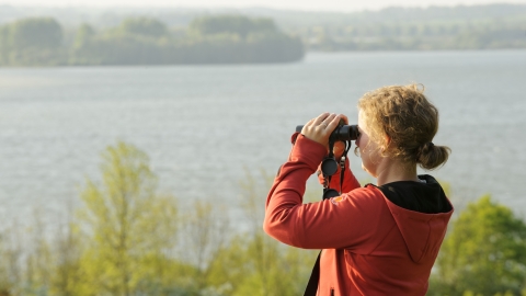 Opticron/Birdwatching