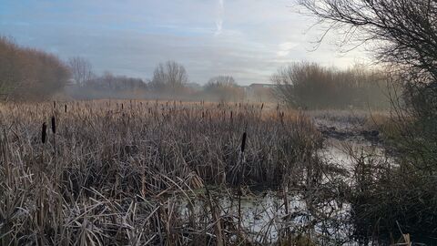 Gresham Marsh credit Sarah Hill