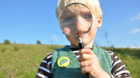 Wildlife Watcher with magnifying glass