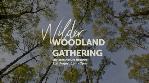 Wilder Woodland Gathering, Skylarks Nature Reserve, 21st August, 1pm-7pm