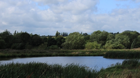 Aldercar Flash pond view