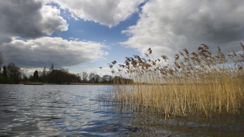 Filby Broad, Norfolk