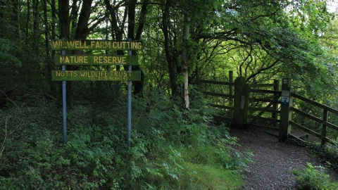 Wilwell Farm Cutting entrance