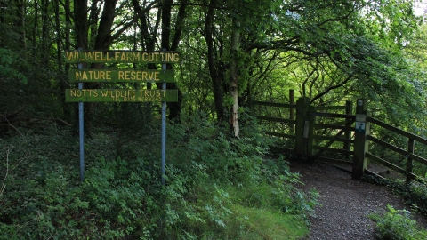 Wilwell Farm Cutting entrance