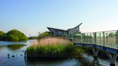 Attenborough Nature Reserve