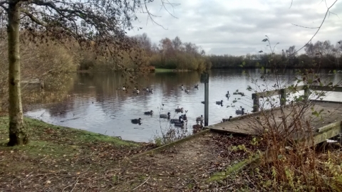 Daneshill Lakes
