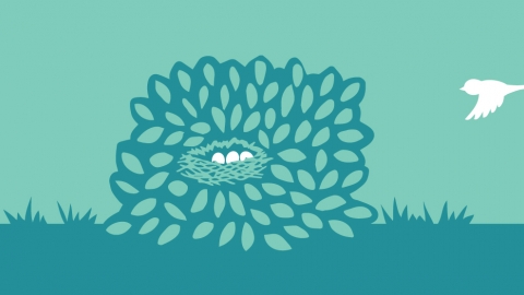 Birds nest in a bush graphic