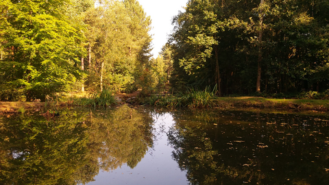 Sherwood centre parcs