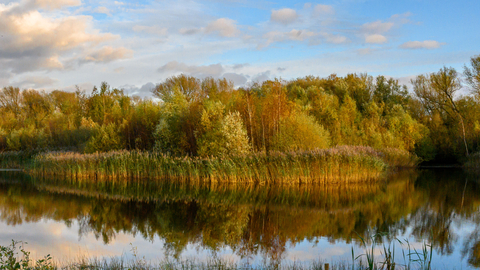 Lake near the beaver area at Idle Valley