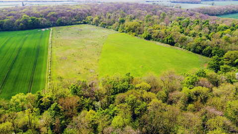 Aerial view of the assart area of treswell wood 