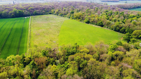 Aerial view of the assart area of treswell wood