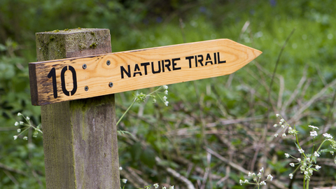 Nature trail sign at Bunny Old Wood Nature Reserve