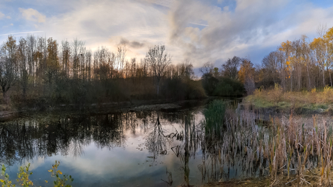 Staunton Quarry