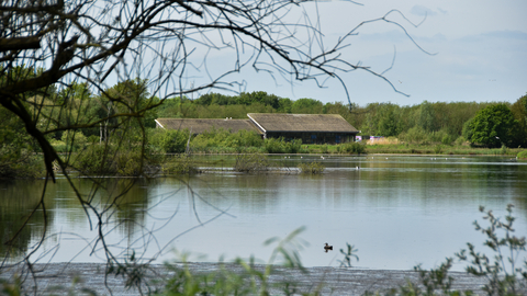 building on a lake