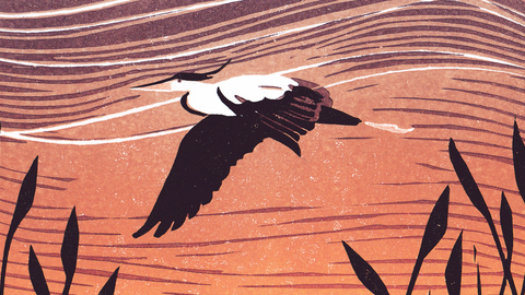 In Flight
