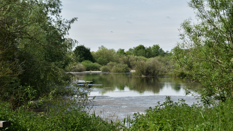 A view of Idle Valley during one of the weekly Wellness Walks