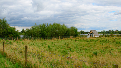 Hereborg accessible bird hide