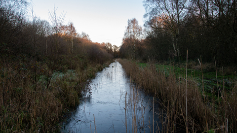 frosty stream at dusk running through a grassy area with trees