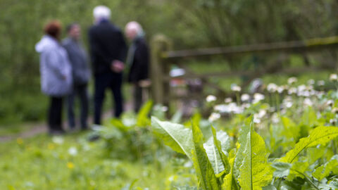 Open Day at Bunny Old Wood